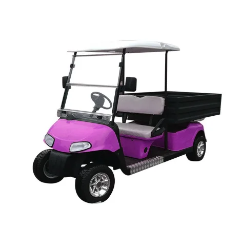 Produk Baru di 2025 Parison 2 Kursi 4 Roda Mewah Sepeda Golf Listrik Alat Cart Off-Road Berburu Baja 48V 2025SDZX12PTPR282