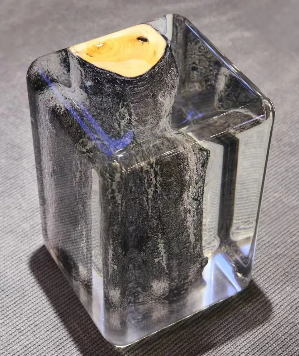 Burnt Trunk Side Table with Acrylic Glass and Burnt Solid Wood  Coffee Table