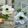 Anémone artificielle blanche, une tête