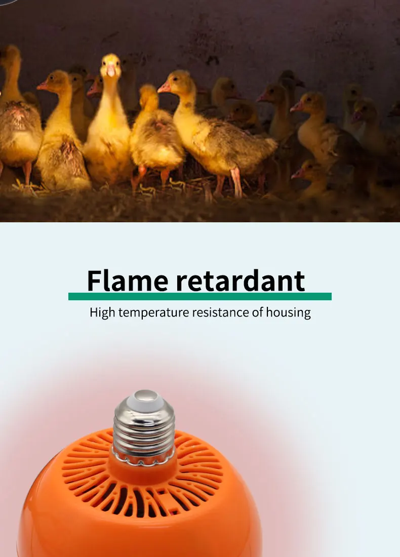 Temperature Controlled Air Heater For Chick Rabbit Tortoise Hamster