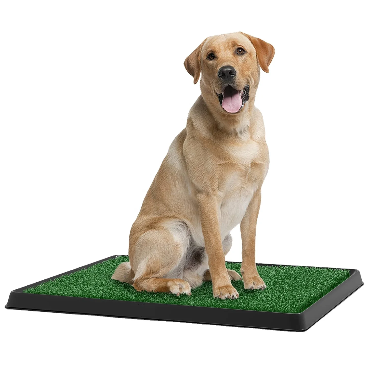dog restroom mat