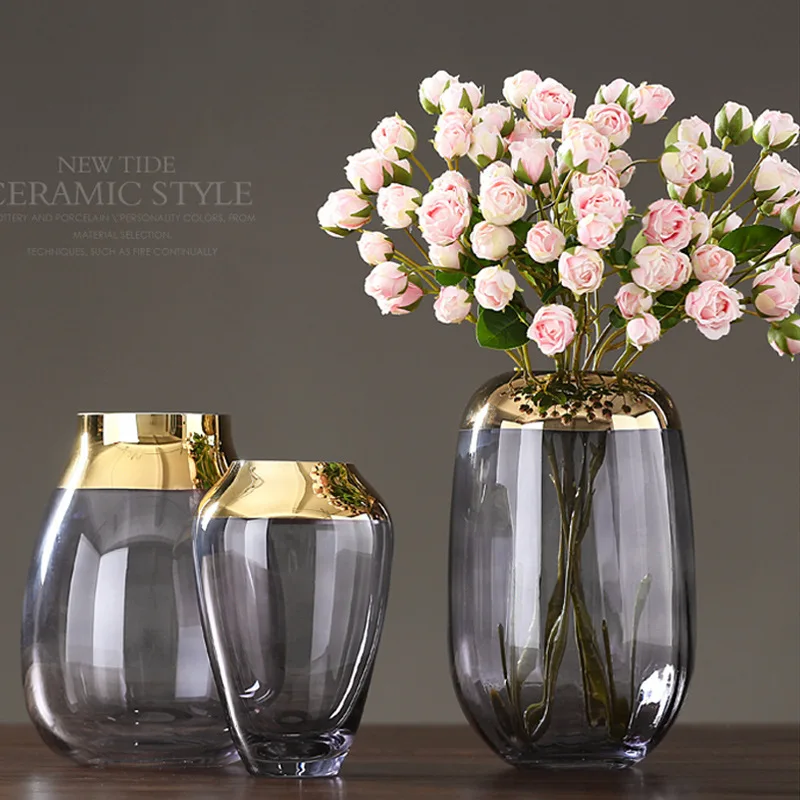 Modern Light Luxury Glass Vase Decoration Hydroponic Transparent Color