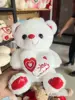 Orso bianco