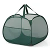 Blackish Green