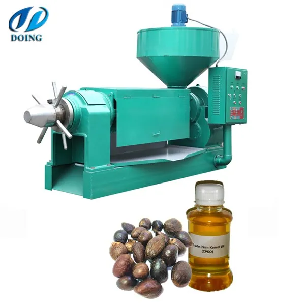 Small Scale PKO Processing Machine to Extract Palm Kernel Oil with High Oil Yield