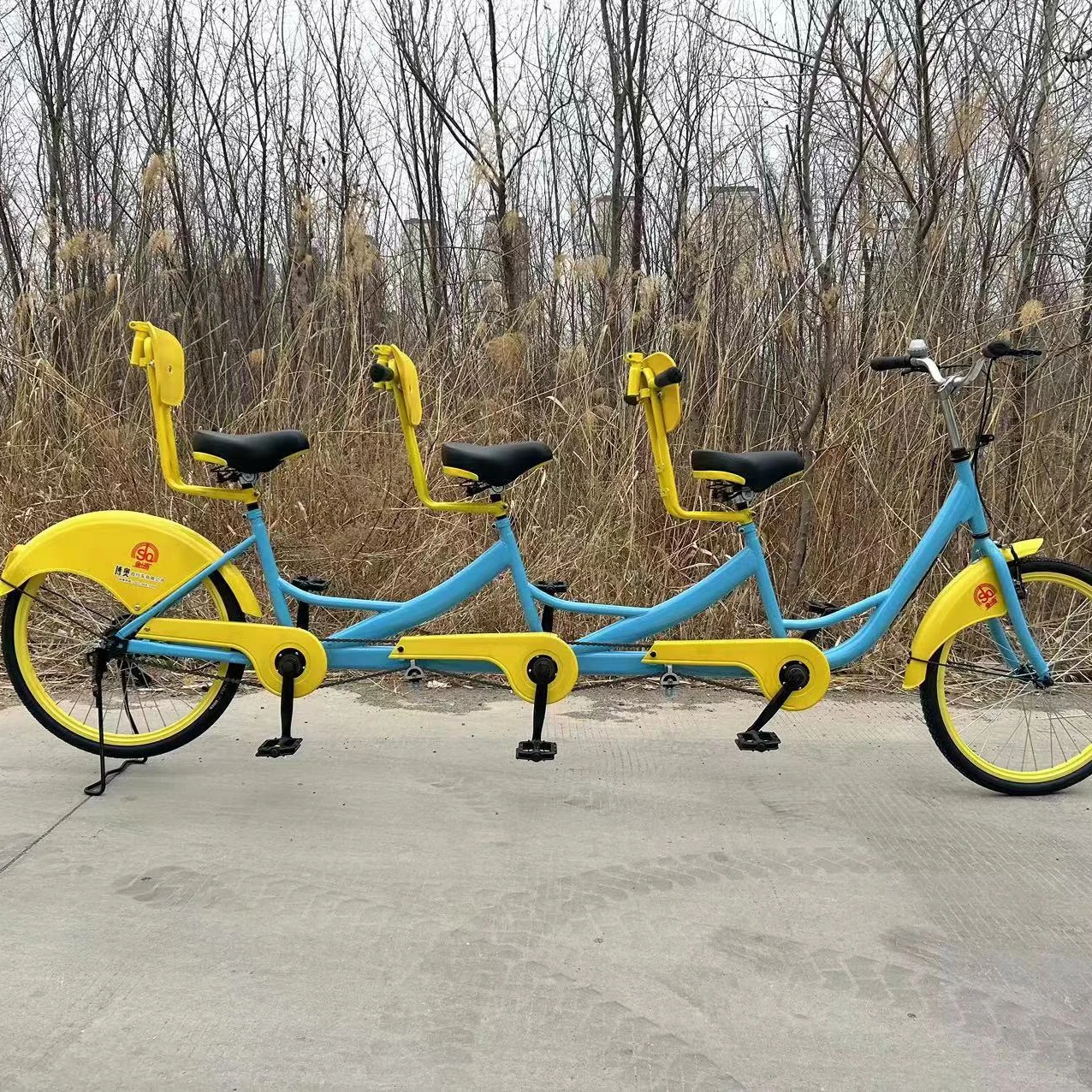 New Style 3 People Person Wheel Surrey Luxury tandem Bike for Sight Seeing  Tourism Bicycle
