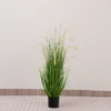 Green 120cm Green Foxtail Grass