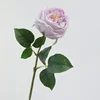 สีม่วงอ่อน