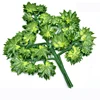 Green 4