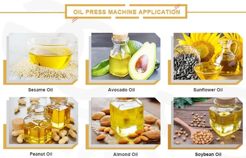 Gg Avocado Black Seed Walnut Oil Press Extraction Grape Seed Sunflower