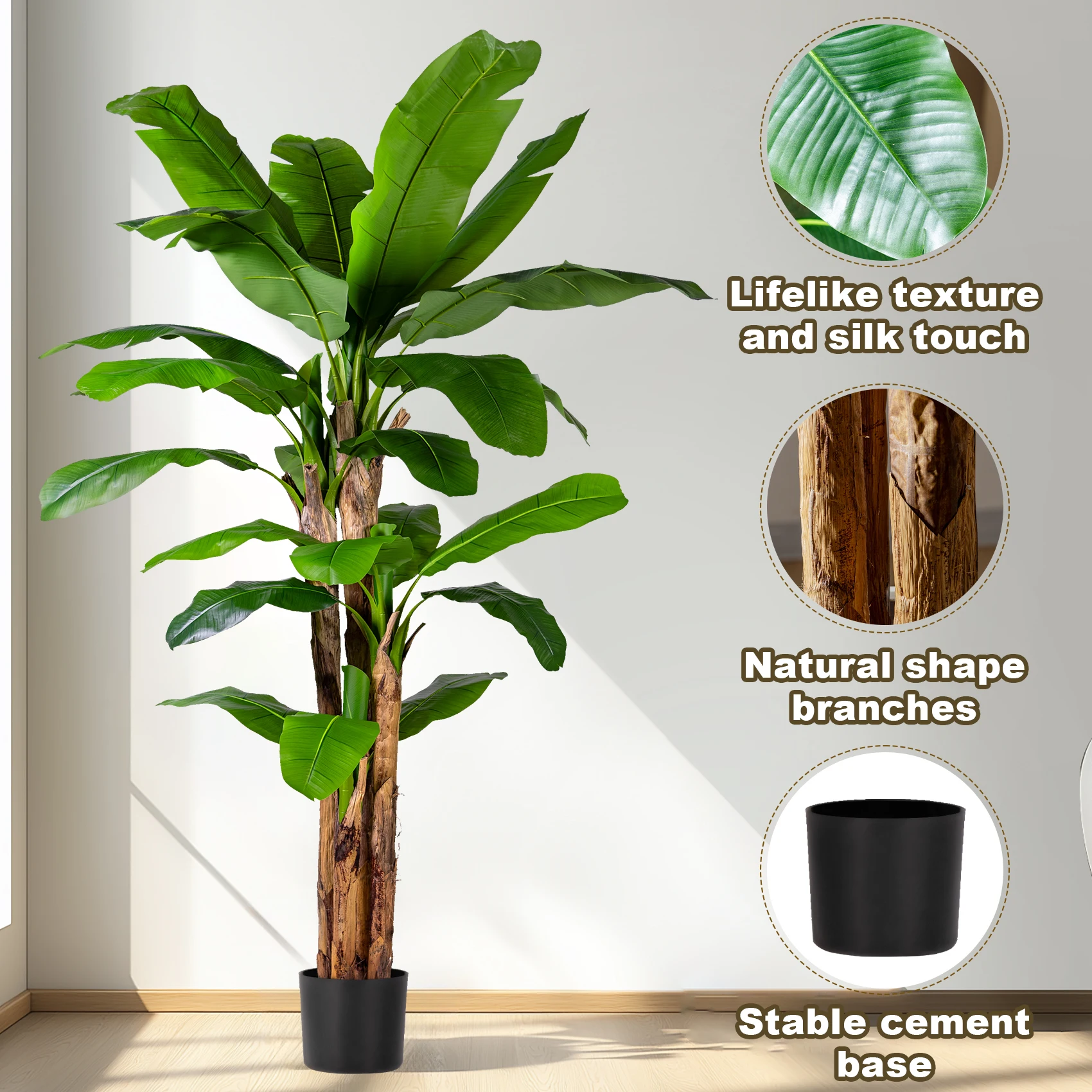 a philodendron Buy Philodendron Red Congo
