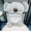 Gray koala
