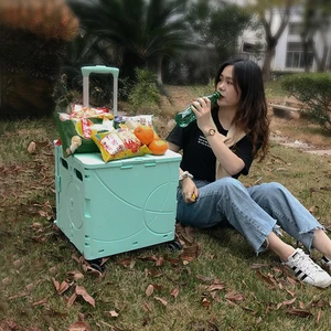 Factory Wholesale Foldable Travelling Shopping Cart Outdoor PP Shopping Trolley 36 48 L Supermarket Basket With Rolling Wheels