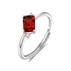 JH0168-5Garnet