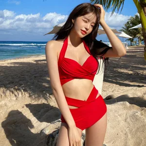 New Arrival Fashion Sexy V-Neck Swimsuit Briefs and Bikini Sets Quick Dry Solid Color Bathing Two Piece Beachwear for Adults