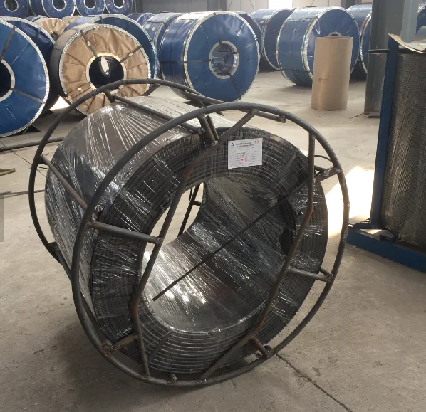 Aisi 302 304 304l 316 316l 0.15mm3mm Stainless Steel Inox Spring Wire