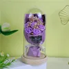 Pourpre