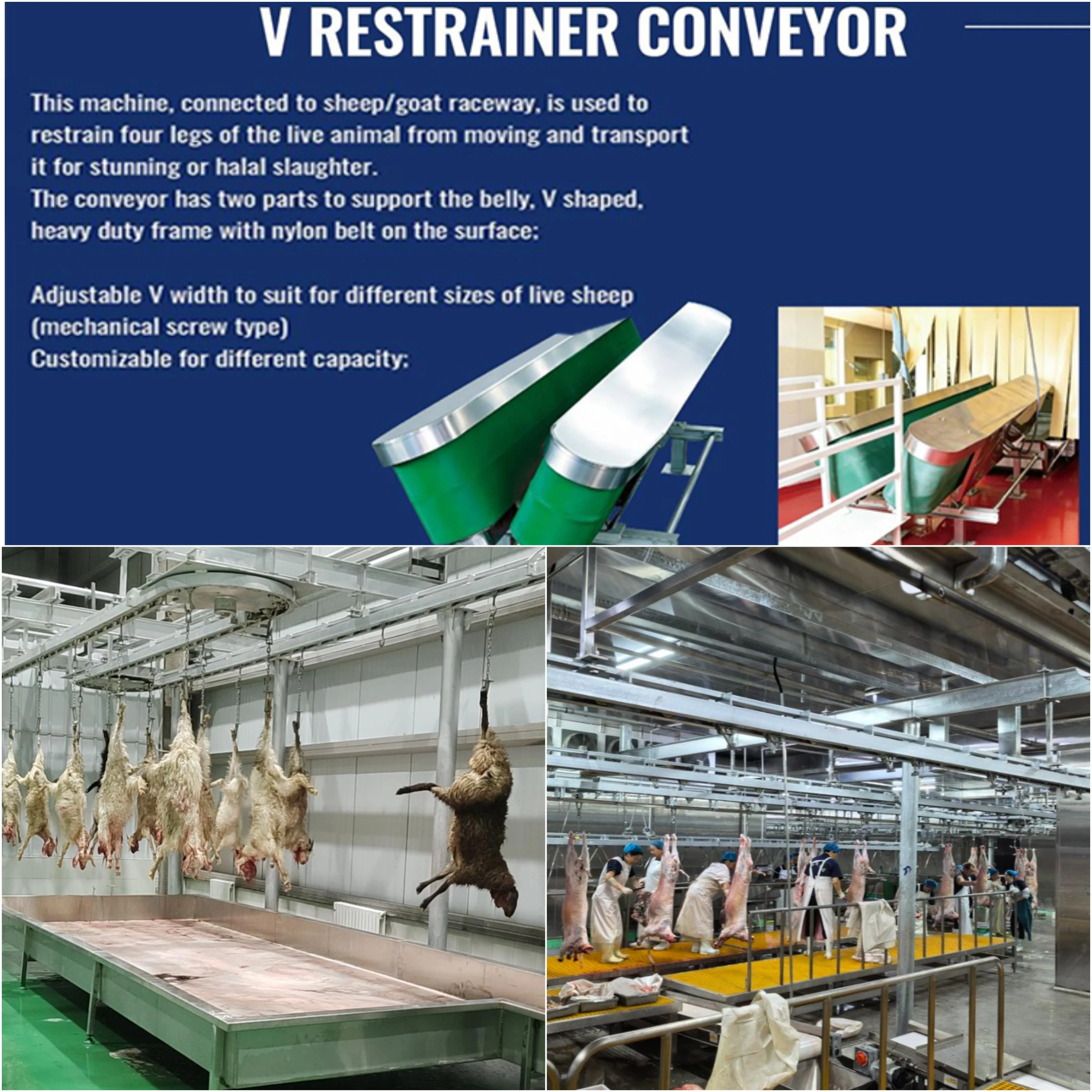 Automatic High Efficiency Complete Sheep and Goat Slaughtering Line Halal Abattoir Equipment for Large Scale Slaughterhouse