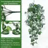Green Plant Vine 4