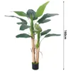 160cm high, 15 leaves, green