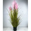 120cm 5 heads