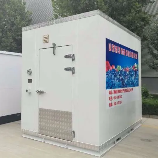 Self Storage Foldable Container House Portable Building