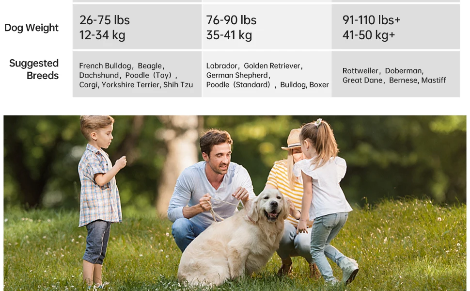 Elevated Dog Bed Portable Raised Dog Bed Off The Floor Easy To Clean