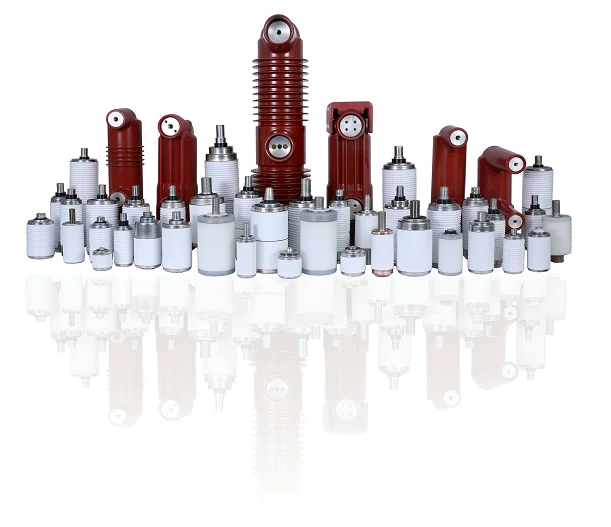 Vacuum Interrupter Embedded Poles for VCB