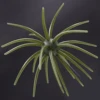 A006
