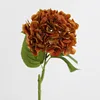 Arancione
