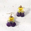 Two-color pansy