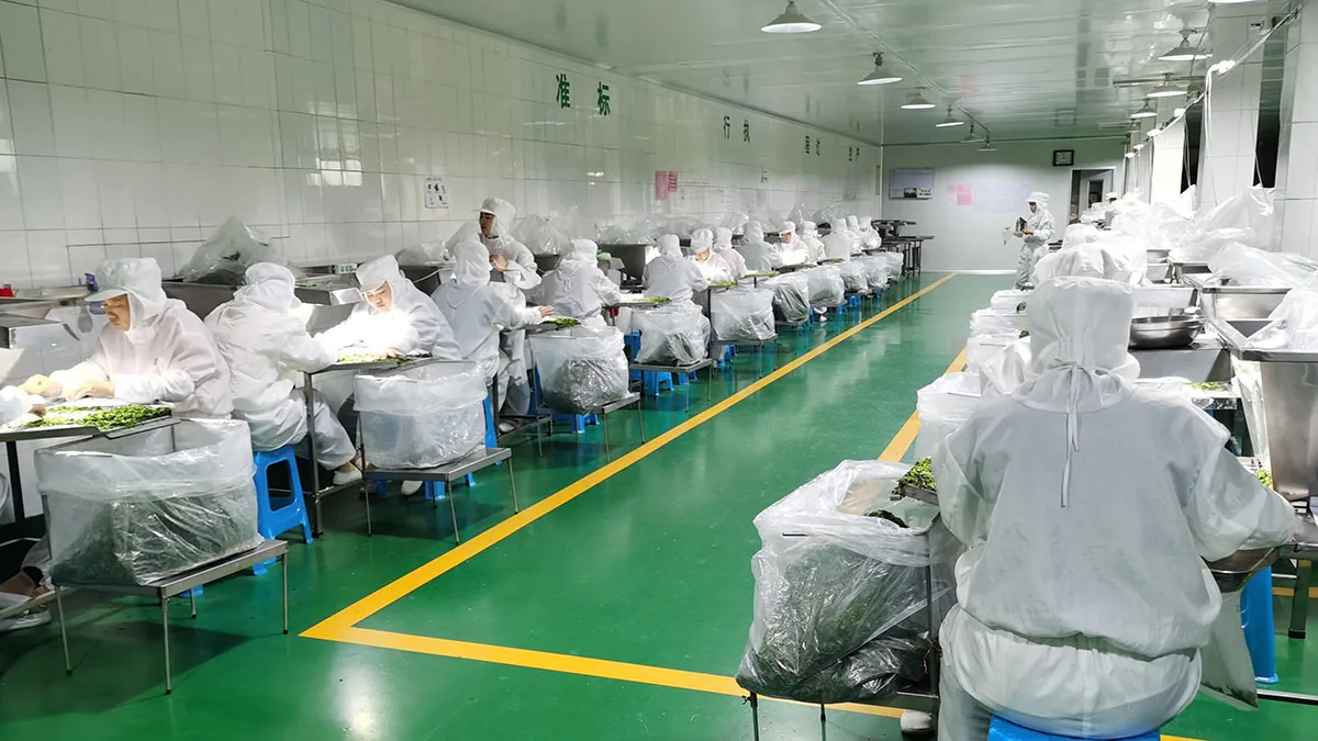 Henan Fitaky Food Co., Ltd. 1