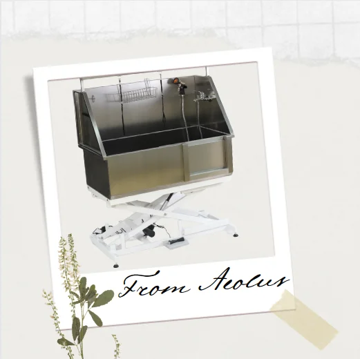 Dog Wash Tubs Electric Lifting Stainless Steel Grooming Bath Tub For