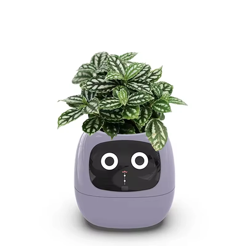 Intelligent Lazy Person Automatic Water Absorbing Flower Pot Plastic Resin Circular USB Rechargeable Indoor Plant Potted Plants