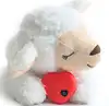 Moutons