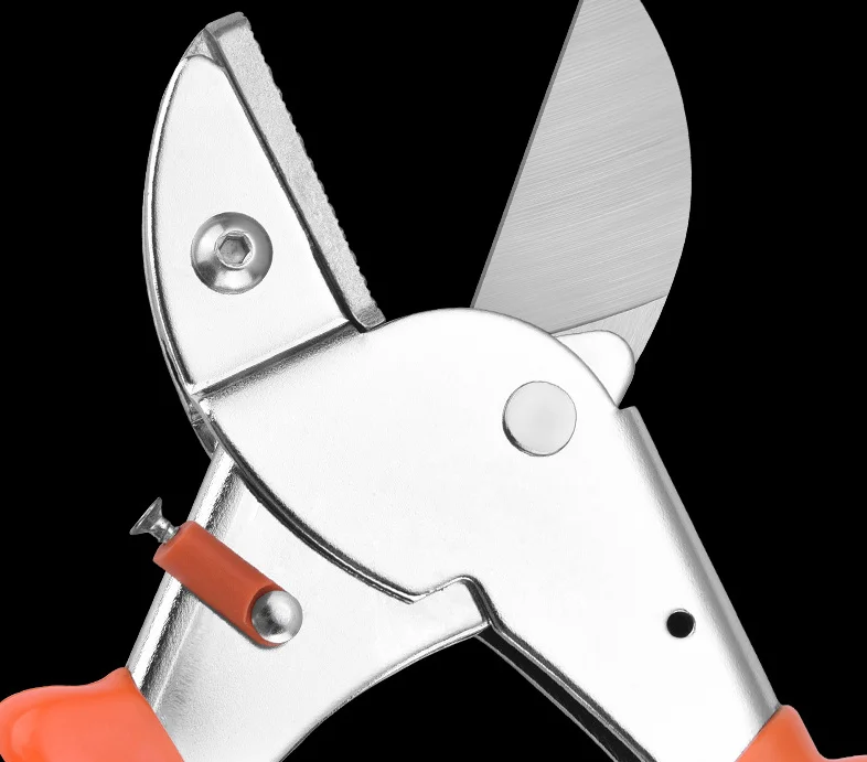 FY001 (10).png