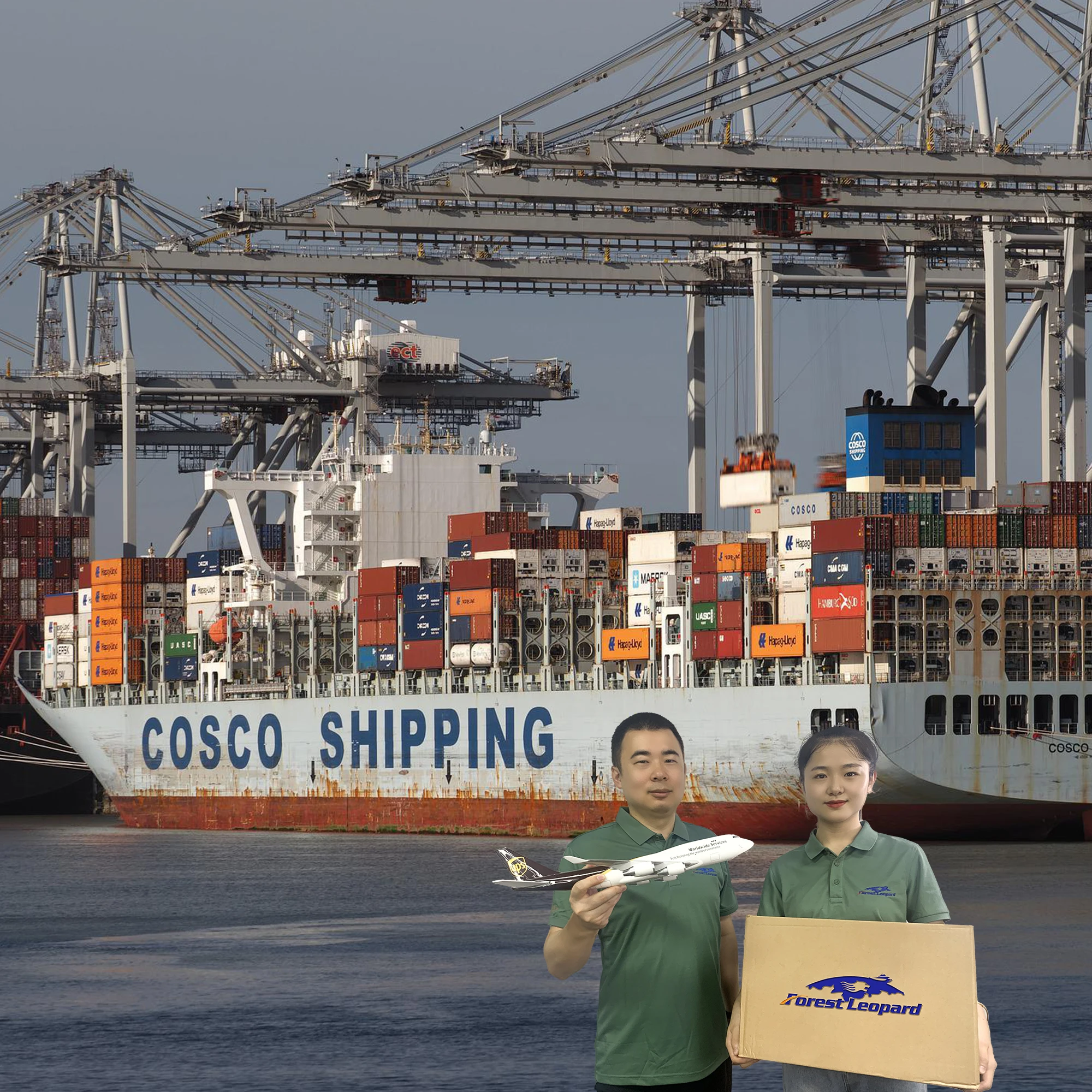 温州中国Ems海运到美国英国加拿大欧盟到私人地址海运LCL DDP/DDU