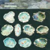 Piscine F Stone avec ondulations colorées-blanc