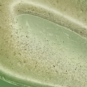 Private Label Body Scrub Face Body Scrub Bamboo Stem Pumice Geranium Leaf Scrub Exfoliating Moisturizes Geranium Leaf Body Scrub