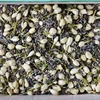 7 mix di coriandoli