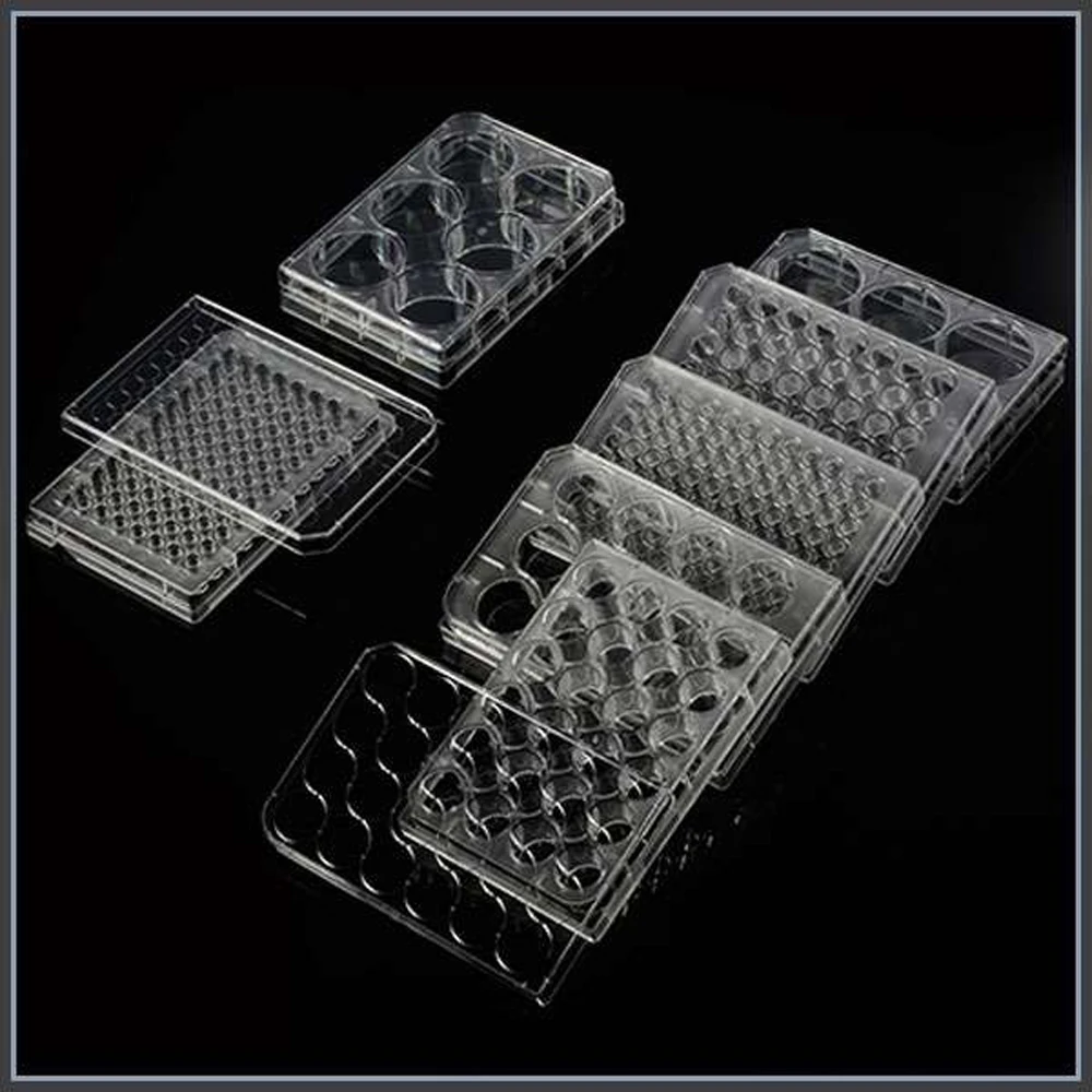 рост клетки растяжением. планшет культуральный 24-луночный с крышкой стерильный. модель клетки животного. как растет клетка. растущие клетки.