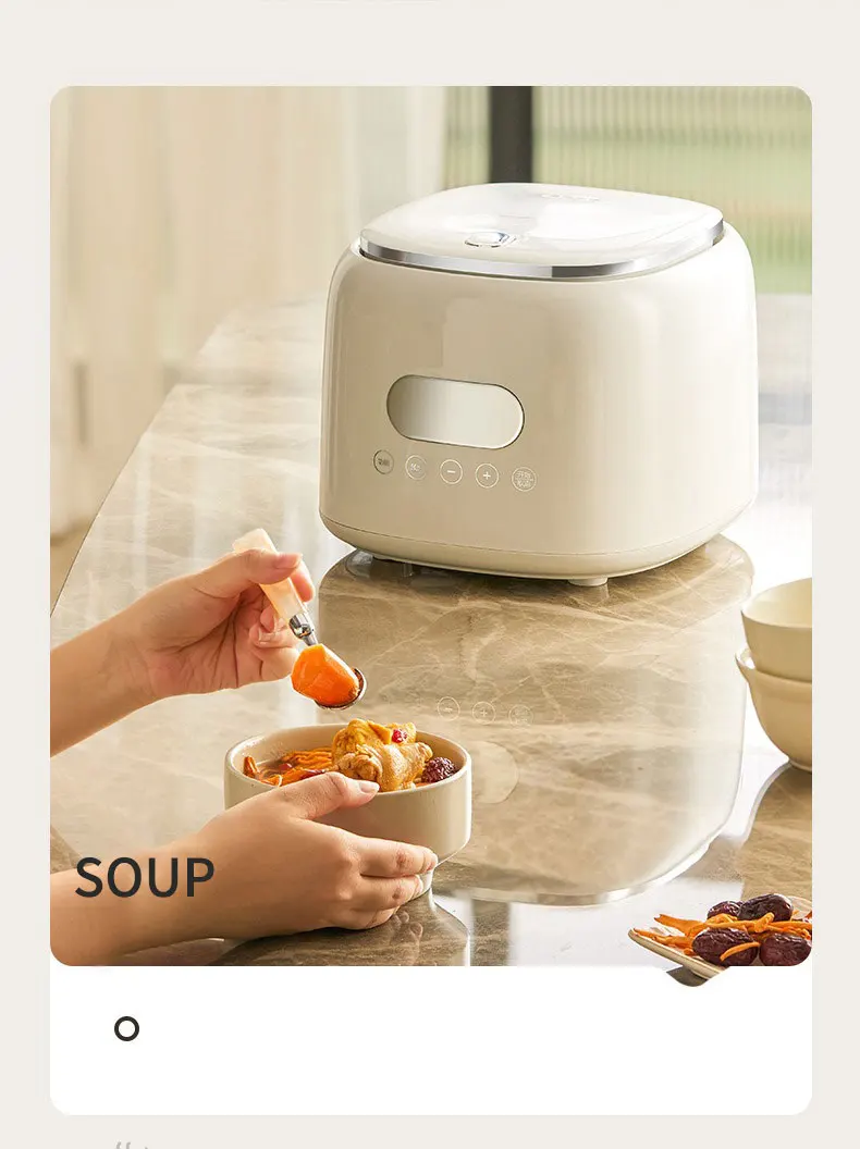 JIASHI 2.5L Mini Portable Rice Cooker - High Quality Cooking