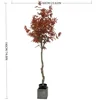 XY2502-14 180CM