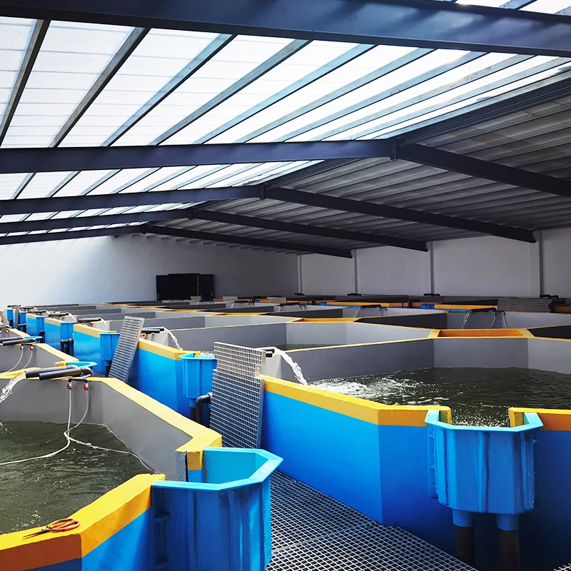 تصميم نظام تربية الأحياء المائية لتربية الأسماك في الأماكن المغلقة من eWater