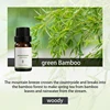 Green Bamboo