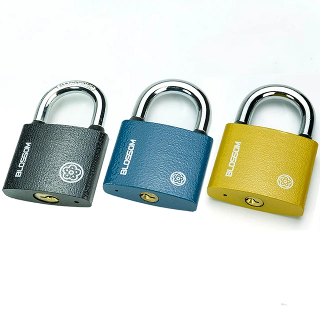 Company Overview - Zhejiang Pujiang Plum-Blossom Lock Industry (group ...