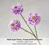 Peonia viola con petali a strati