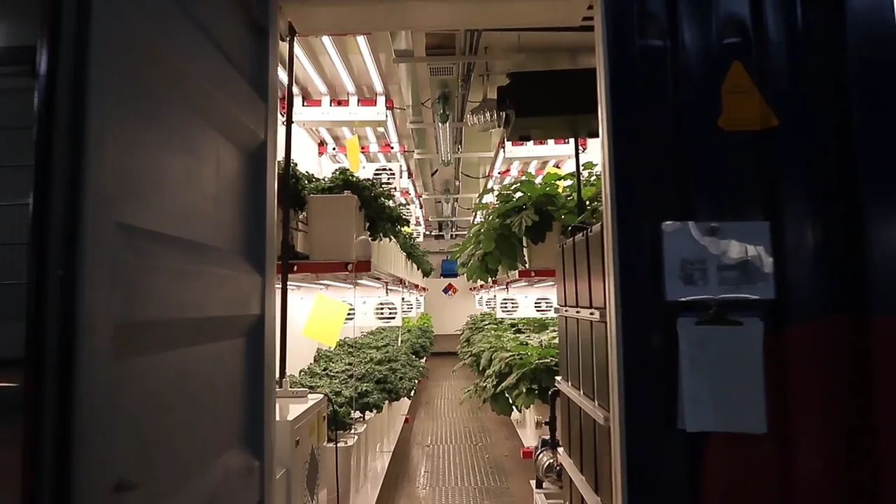 40ft Shipping Container Farm Future Plant Farm With Aerohydroponic