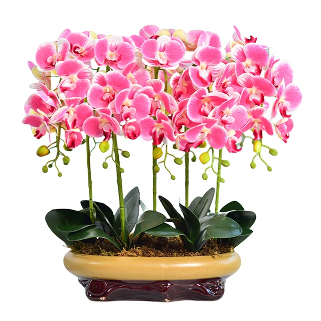 Centerpiece Decorations Phalaenopsis orchid artificial potted flowers  for Wedding decorate