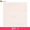B91-1